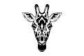 girafa 1